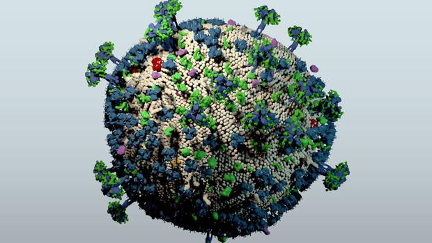 Virus que causa el sida