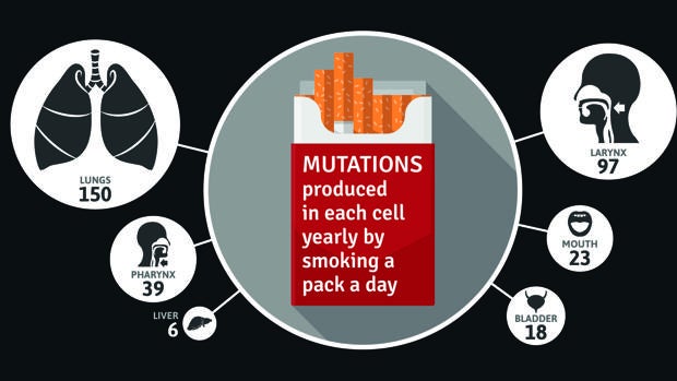 ¿Cuál es el tipo de mutación que causa el cáncer de próstata?