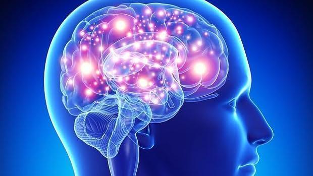 alzheimer diabetes tipo 3 elecciones 2020