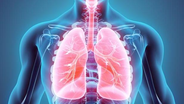Alimentacion para enfermos de cancer de pulmon