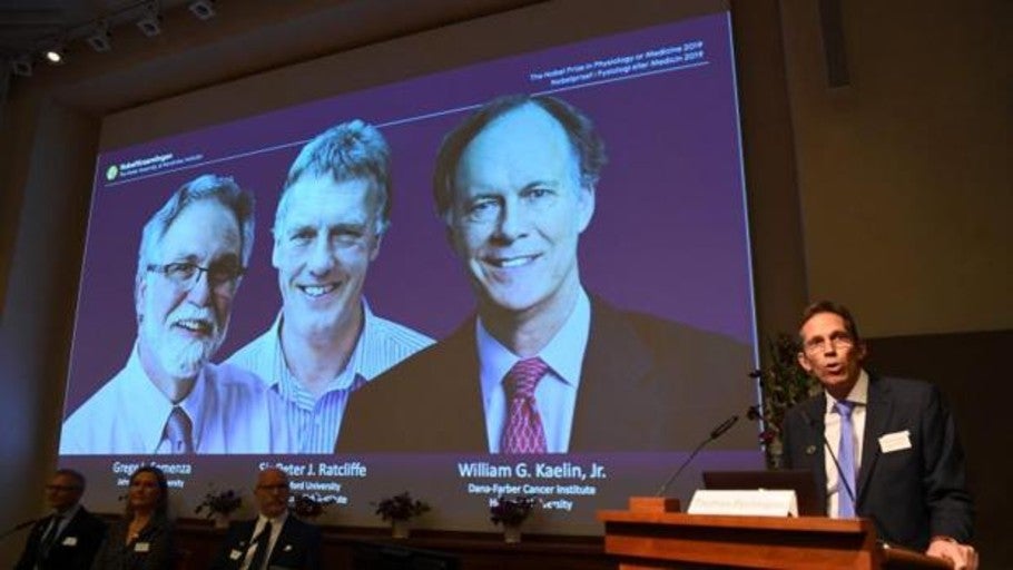 Kaelin, Semenza y Ratcliffe ganan el Nobel de Medicina 2019 por sus estudios sobre medicina molecular