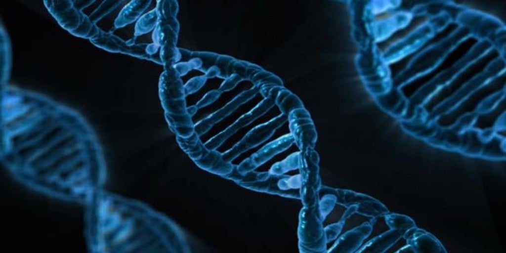 Los genes que reducen el riesgo de alzhéimer