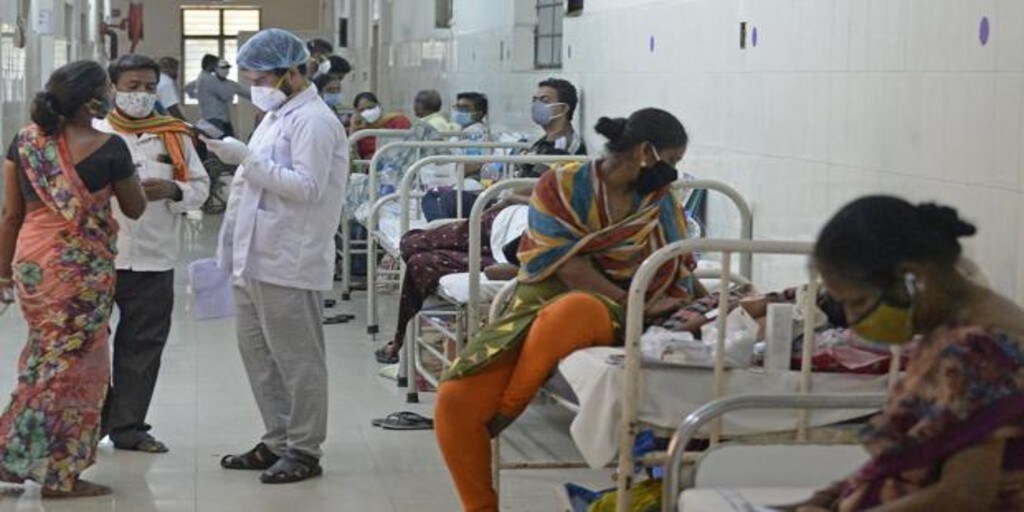 Que Es El Hongo Negro La Mortal Infeccion Que Esta Afectando A Contagiados Por Coronavirus En India