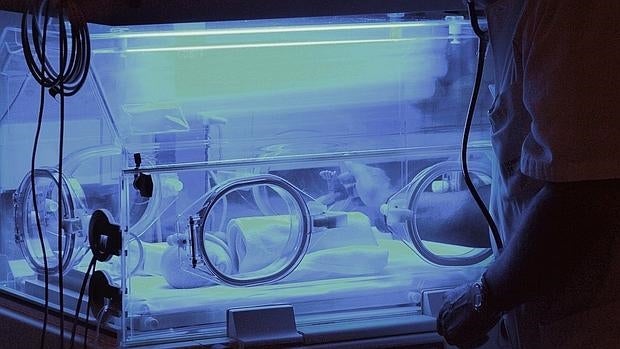 Un bebé en una incubadora