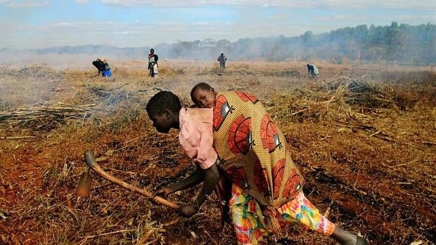 De cara a la próxima temporada, la familias han trabajado para ahorrar para comprar semillas e insumos agrícolas