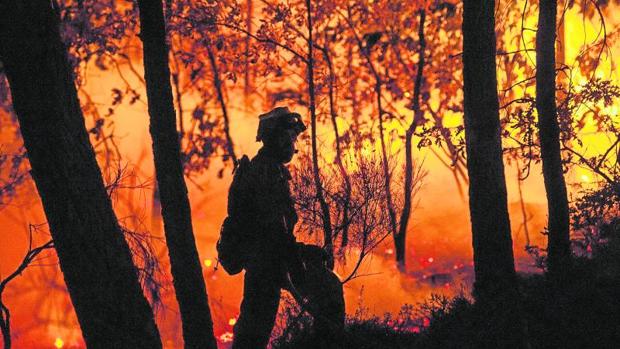 La UME ayudó a extinguir en septiembre el incendio en Entrimo (Orense)