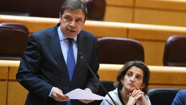 El ministro de Agricultura y Pesca, Luis Planas, esta tarde en la sesión de control al Gobierno en el Senado