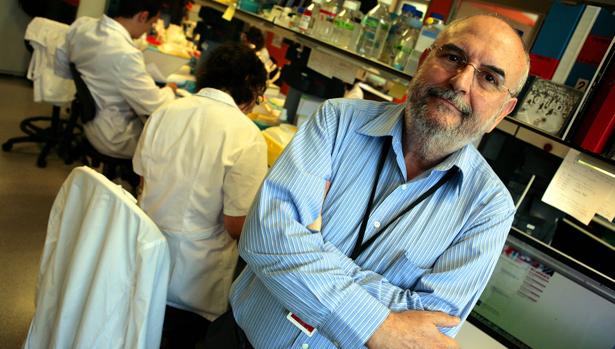 El científico Manuel Perucho en el laboratorio del Instituto de Medicina Predictiva del Cáncer