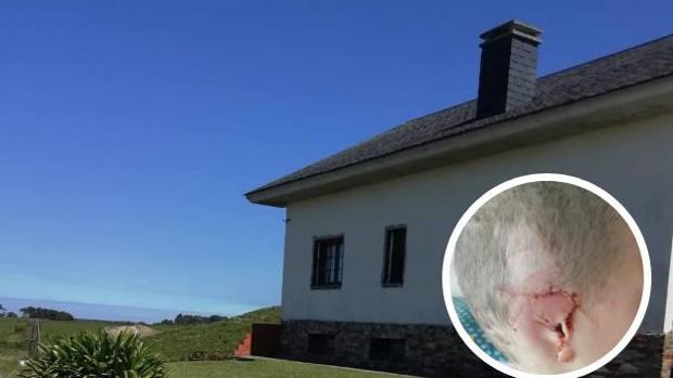 Vivienda donde jugaba la menor. Abajo, a la derecha, oreja de la menor tras el ataque