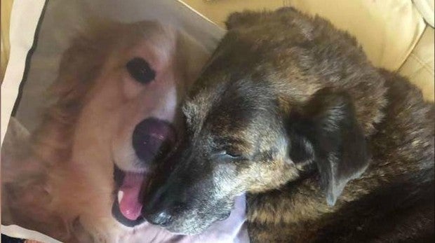 Su emotivo gesto se volvió viral en Facebook