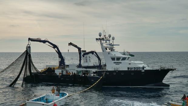 Un barco de Balfegó pescando en alta mar
