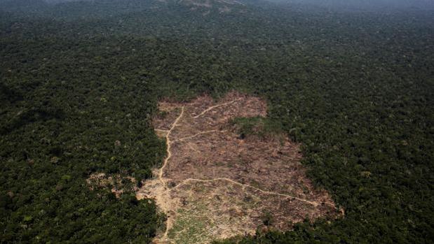 Zona del Amazonas en Brasil, recientemente deforestada por agricultores
