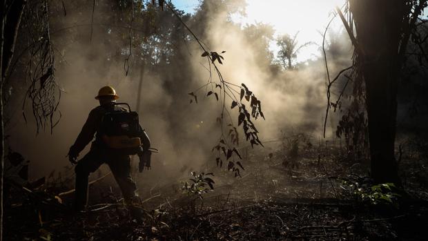 Bomberos participan en la extinción de un incendio en el Amazonas