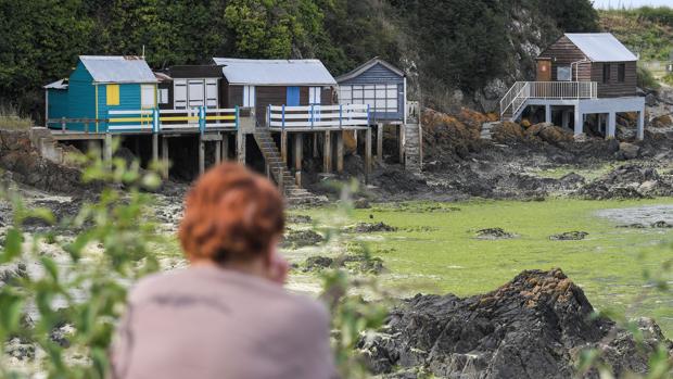 Una mujer observa el rastro de algas que ha dejado la marea en una playa de Francia