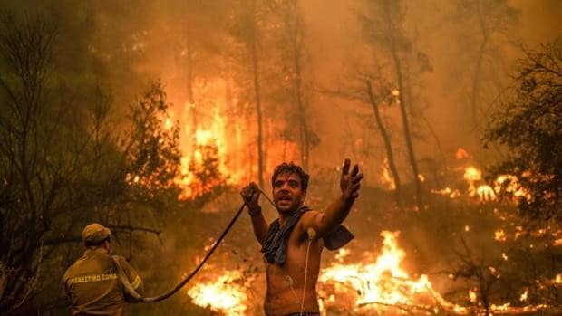 Cómo actuar si te encuentras cerca de un incendio forestal y cómo ayudar a  prevenirlos