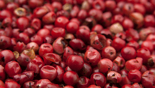 Bayas de Goji