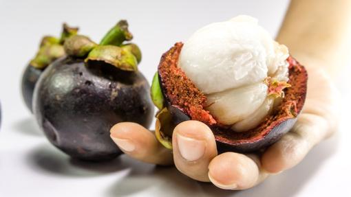 Mangostán, la «Fruta de la Juventud»