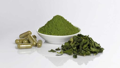 Los tres formatos comercializados por la empresa Moringa Nature