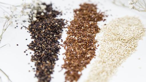 Las quinuas de Pepita y Grano ©Carmen Prieto Remón