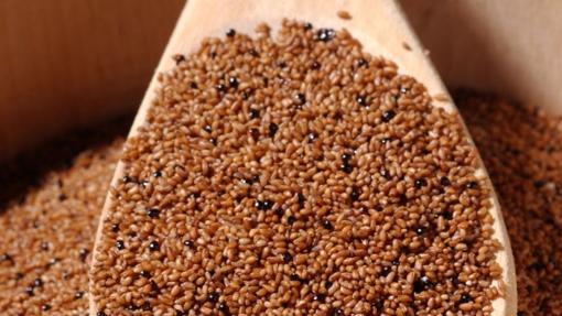 El teff es el cereal etíope del que todo el mundo habla