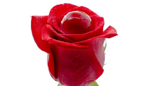 La Rosa de Cakes & Bubbles, un postre de autor de Albert Adrià