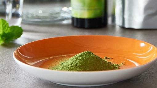 La moringa es una planta exótica también conocida como “árbol del bien”