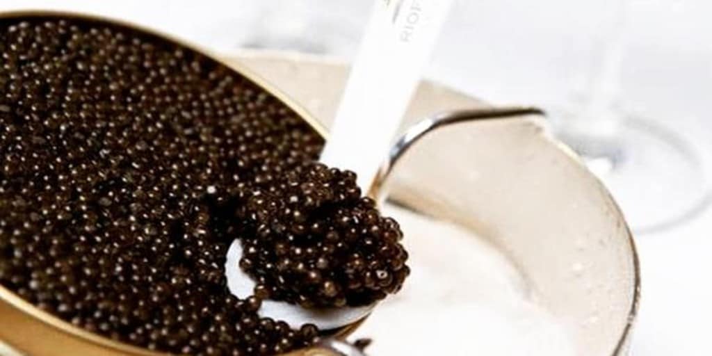 benchmark synonym caviar