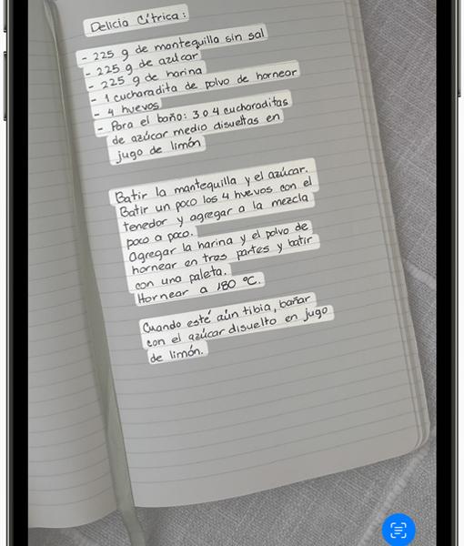 Captura de pantalla sobre el proceso para extraer el texto de una foto