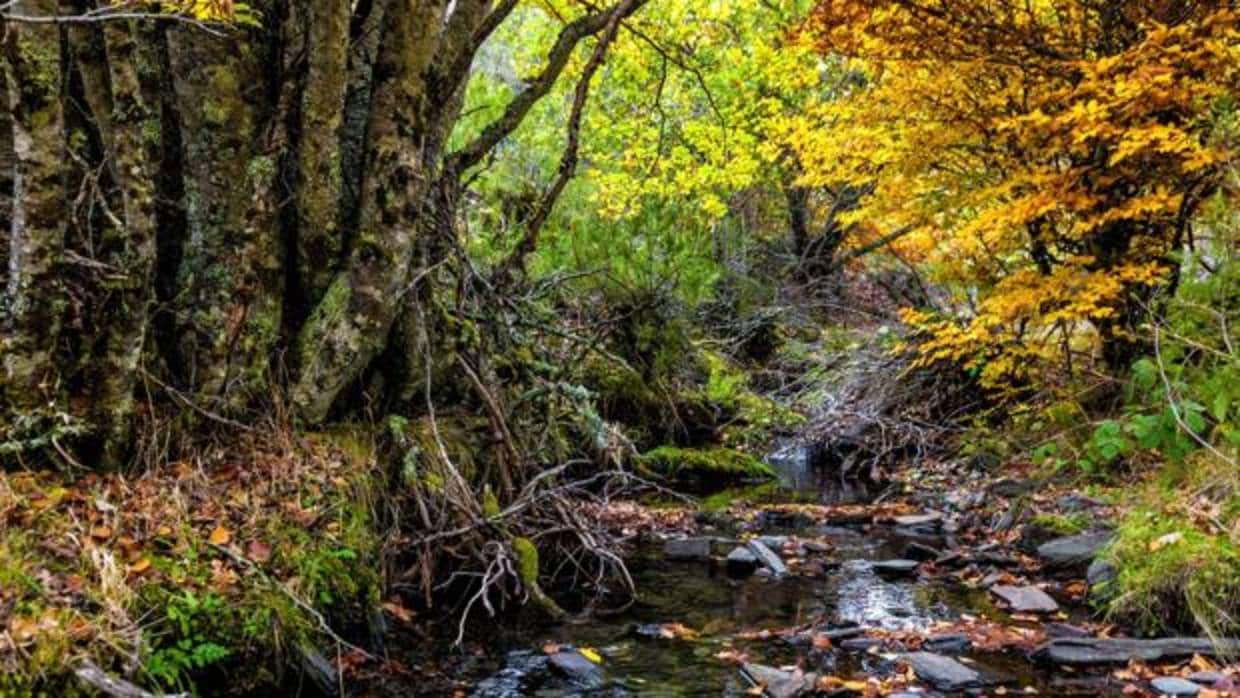 Siete paisajes naturales donde descubrir la mejor Castilla-La Mancha