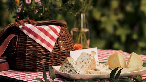 QUesos para llevar de picnic