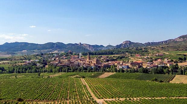 Viñedos de López de Heredia Viña Tondonia