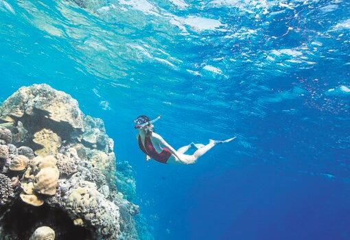 Snorkeling in the Indian Ocean